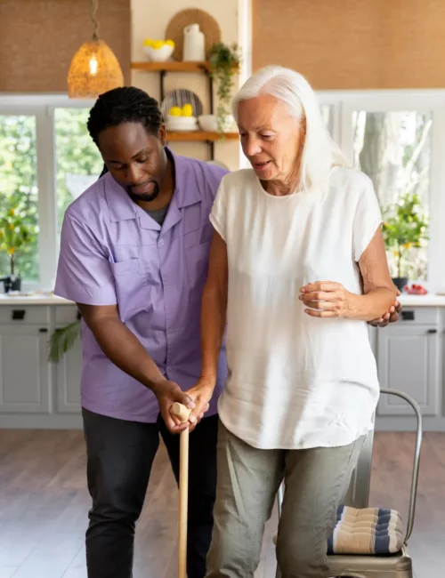 green villa care domestic care services image