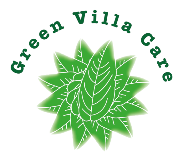 greenvillar transparent main logo